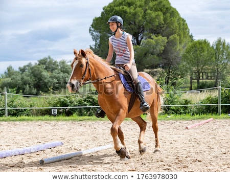 Fille à cheval [[stock_photo]] © cynoclub