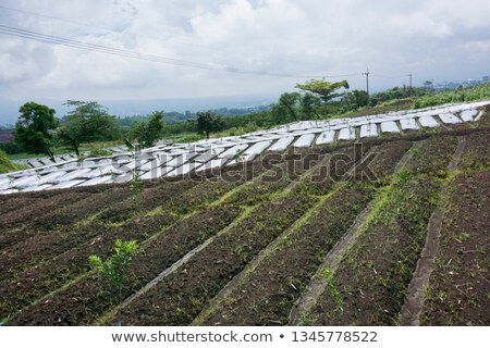 Foto stock: Portrait - Barren Field With Mountains And Blue Sky