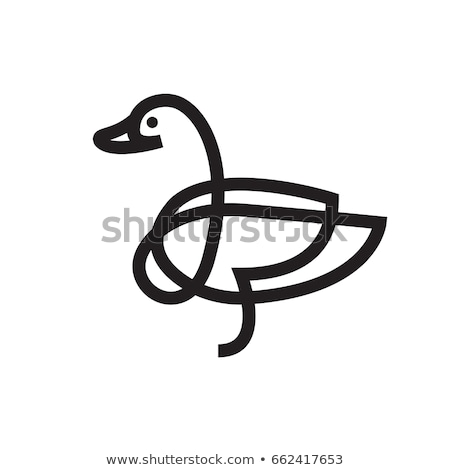 ストックフォト: Canada Goose Duck Bird Isolated Animal Cartoon