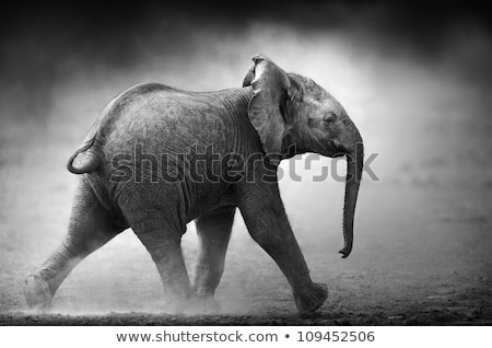 Foto stock: Baby Elephant Running Artistic Processing