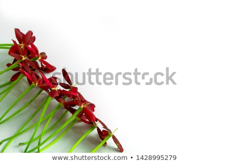 Stock photo: Bouquet Of Red Roses With Green Leaves On The Abstract Backgroun