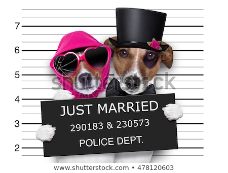 Stock photo: Mugshot Just Married Dogs