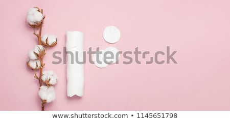 Stockfoto: Branch Of Cotton Plant Eared Sticks Cotton Pads