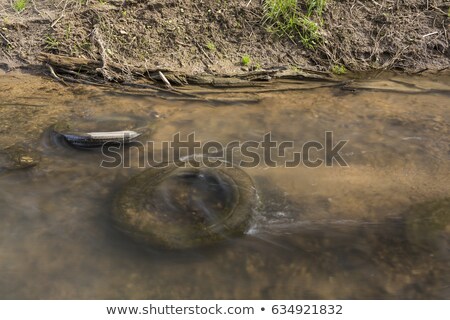 Foto stock: Junk Cars On River