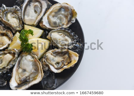 Foto stock: Raw Oysters On The Board