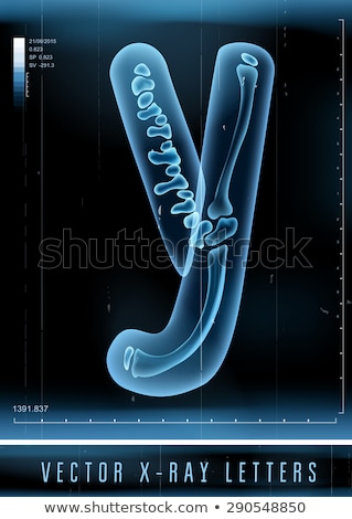 Stock photo: Transparent X Ray Letter Y 3d