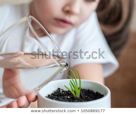 Foto stock: Girl Watering Plants On White