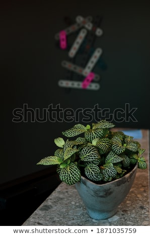 Stock photo: Afterhours