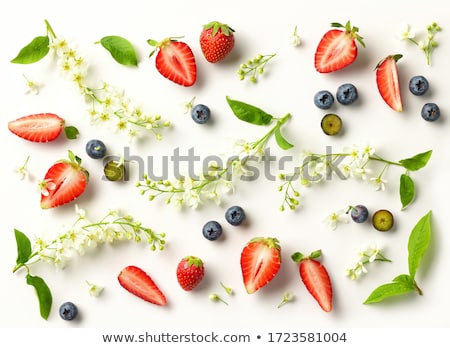 Foto stock: Strawberries With Flowers Of Bird Cherry On A White Background Sunny Spring Background Isolated B