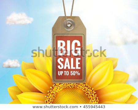 Stock photo: Sunflower With Blue Sky - Autumn Sale Eps 10