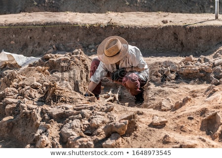 Сток-фото: Archaeological Excavation With Skeletons