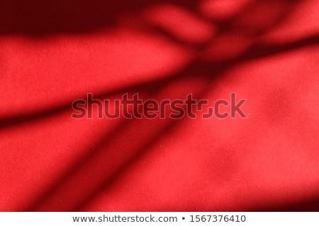 Foto d'archivio: Abstract Art Botanical Shadows Overlay On Red Background For Ho