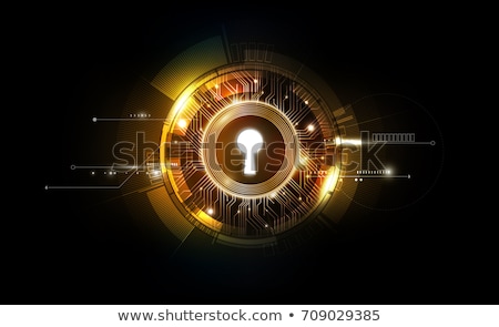 Zdjęcia stock: Future Key