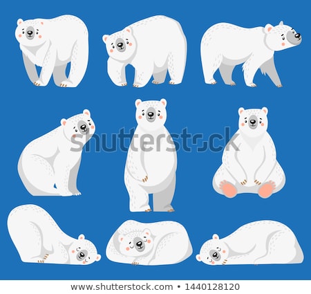 Сток-фото: Sleeping Bear Vector