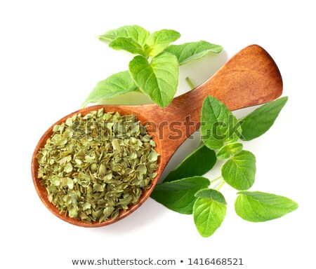 Stockfoto: Oregano Spoon