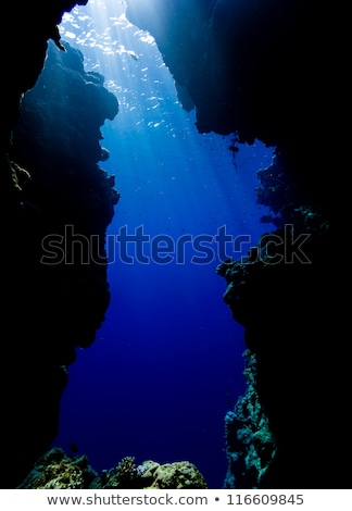 Foto d'archivio: Underwater Cave And Sunrays In The Red Sea