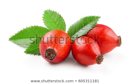 Stock photo: Rosehip