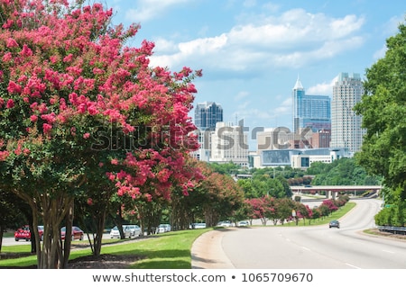 [[stock_photo]]: North Carolina