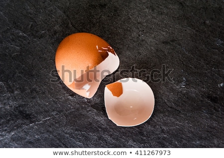 Stok fotoğraf: Empty Brown Eggshells