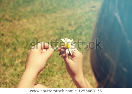 Foto stock: He Loves Me Not