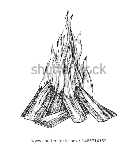 Stok fotoğraf: Traditional Burning Bonfire Monochrome Vector