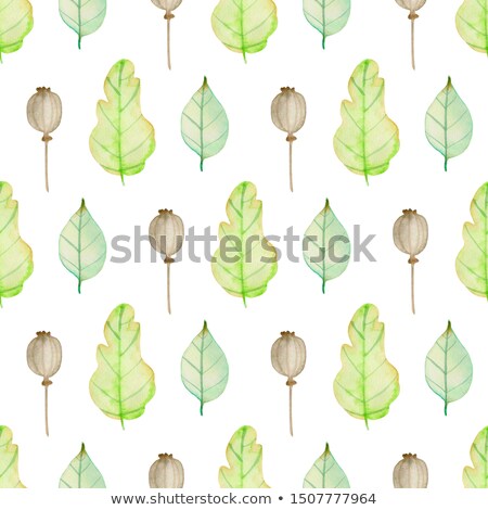 Pattern With Green Oak Leaves And Poppy Seeds Foto d'archivio © Artspace
