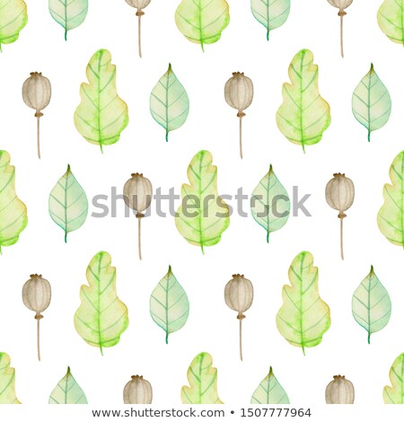 Pattern With Green Oak Leaves And Poppy Seeds Stock foto © Artspace