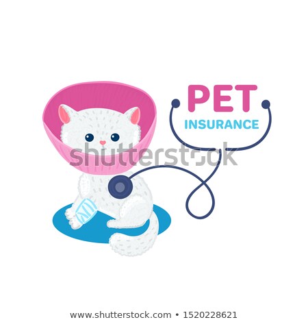 Foto stock: Pet Insurance Little Cute White Kitten In Pink Veterinary Collar And With Bandage On Paw Stethosco