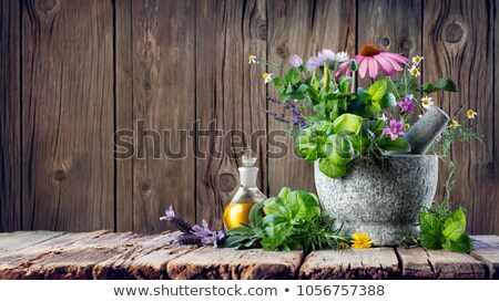 Stockfoto: Natural Remedy Healing Herbs Background