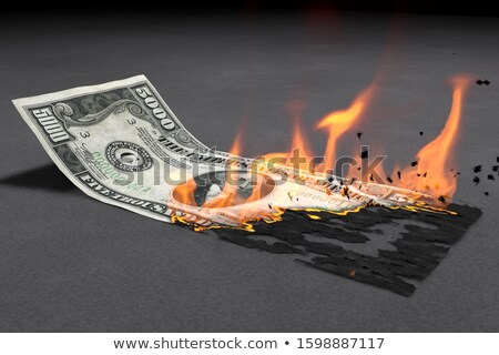 Stok fotoğraf: Dollar Burning Cash Note