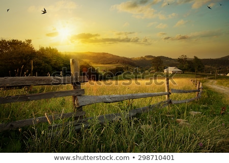 Autumn Mountain Country Landscape Carpathian Ukraine Foto d'archivio © Konstanttin