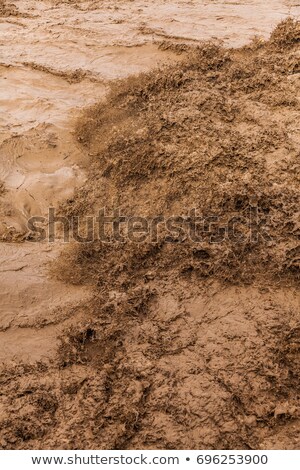 Foto stock: Surface Of Muddy Water With Foam