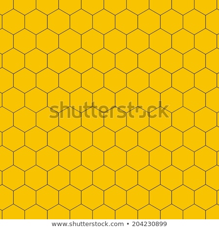 Stok fotoğraf: Orange Shiny Honeycomb Full Of Honey Cells Decorative Texture