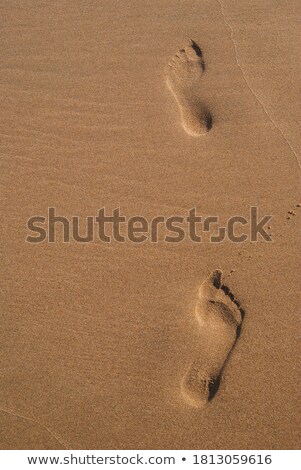 Stock photo: Human Footsteps At The Clean Sandy Beach