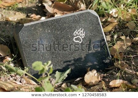 Stockfoto: Uisdieren · begraafplaats