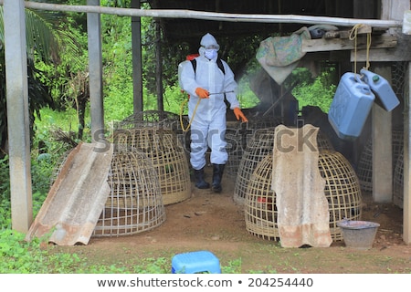 Stock photo: Bird Flu Infrared