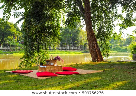 Сток-фото: Basket Sandwiches Plaid And Juice In A Poppy Field