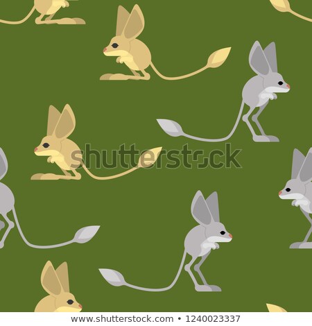 Stock fotó: Jerboa Pattern Steppe Animal Background Wildlife Texture