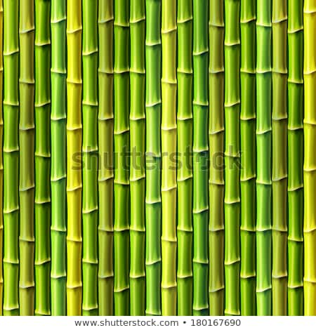 [[stock_photo]]: Seamless Background With Green Bamboo