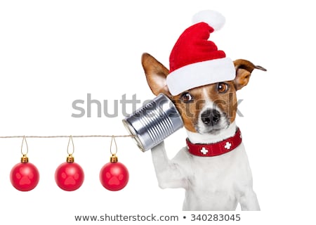 Foto stock: Dog Office Worker On Christmas Holidays