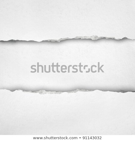 Stock photo: Blank Lined Note Book Page With Torn Edge