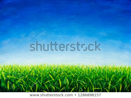 Foto stock: White Canvas On Green Grass