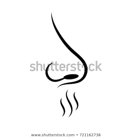 Stock foto: Body Senses Smell Nose Icon On A White Background