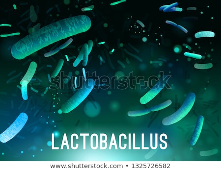 Zdjęcia stock: Vector Background With Probiotics Bifidobacterium Lactobacillus Lactic Acid Bacterium Microbiome