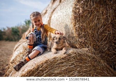 [[stock_photo]]: Baby Girl Farmer In Natural Golden Wheat Field