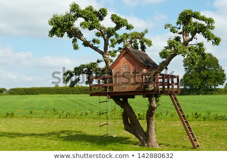 Сток-фото: Green Landscape With Trees And House