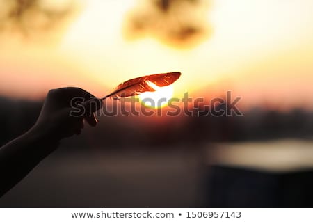 Stock photo: Future Bird