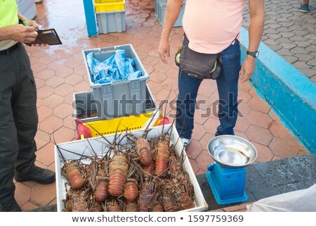 Stock photo: Lobster Claw And Business Contract
