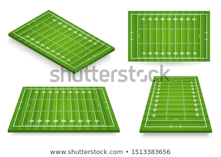 Stok fotoğraf: Colored Icons Vector Collection For American Football