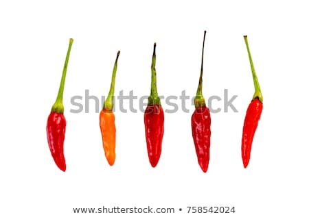 Stock photo: Hot Birds Eye Peppers